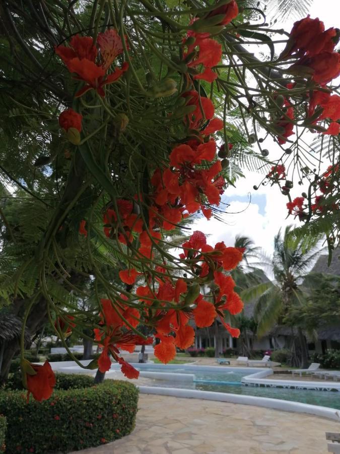 Coral Key Villa Malindi Luaran gambar